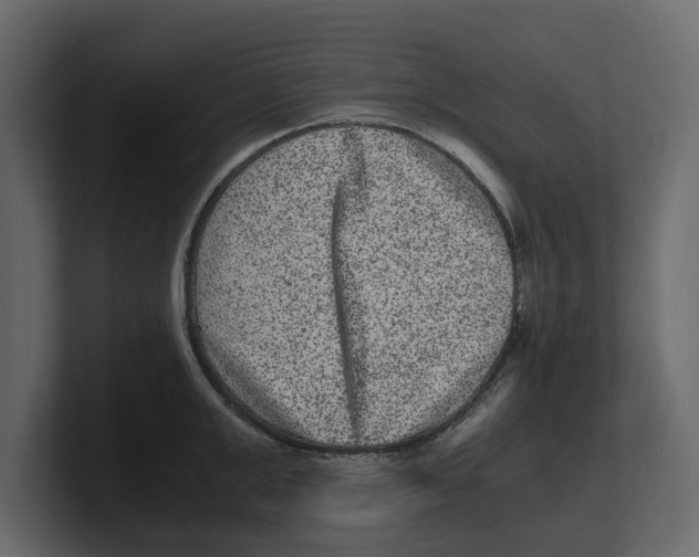 X0000100350999200806271358