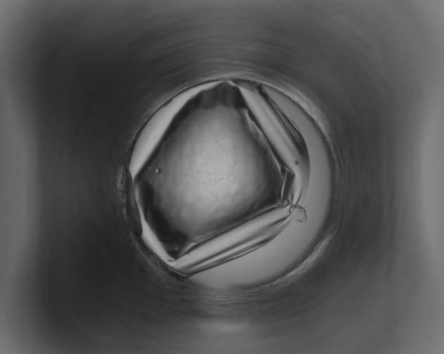 X0000100351001200806271358