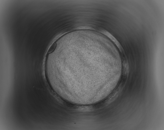 X0000100351002200806271358