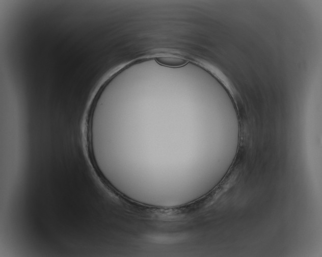 X0000100351003200806271358