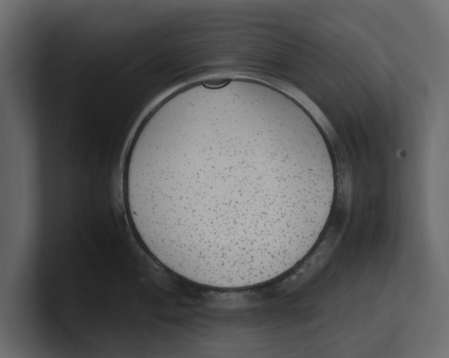 X0000100351004200806271358