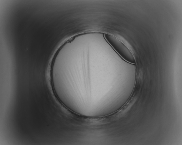 X0000100351005200806271358