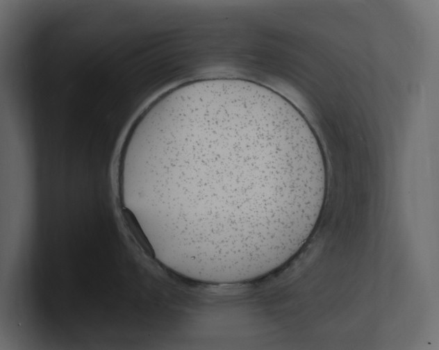 X0000100351008200806271358