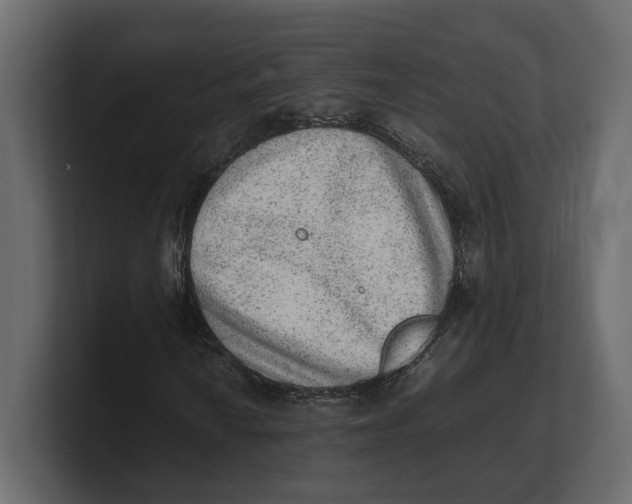 X0000100351010200806271357