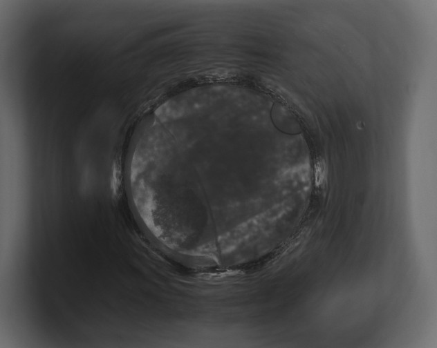 X0000100351011200806271357