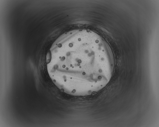 X0000100351014200806271357