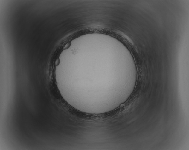 X0000100351016200806271357