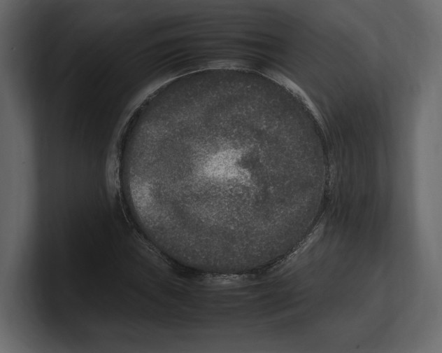 X0000100351019200806271357