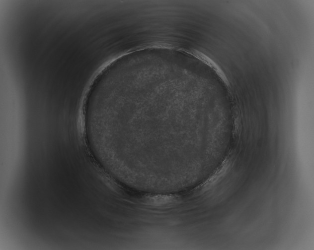 X0000100351027200806271357