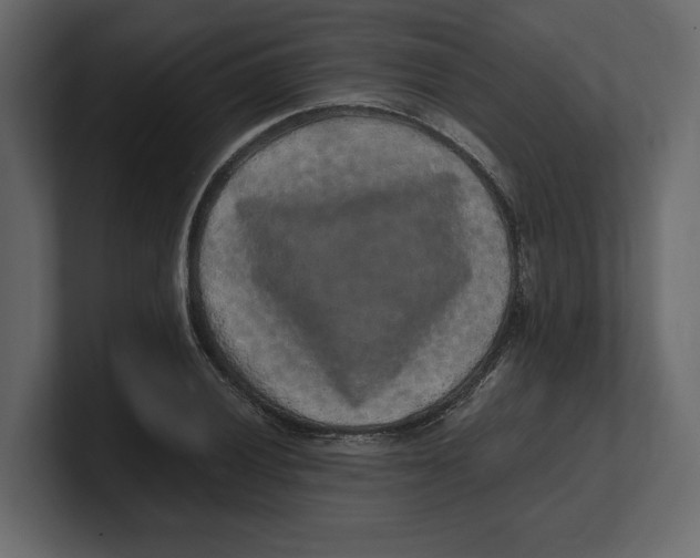 X0000100351028200806271357