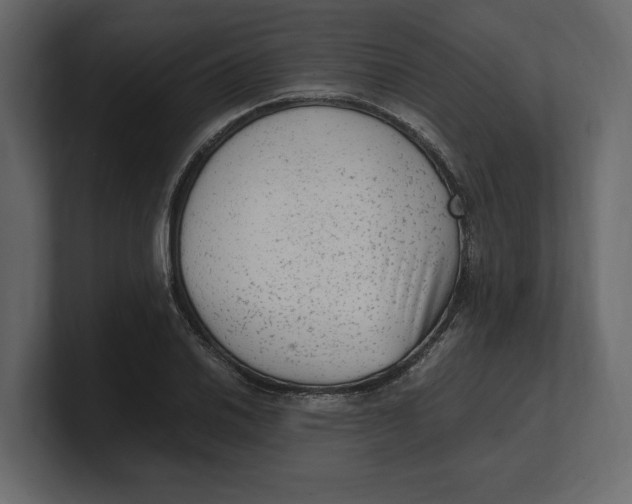 X0000100351030200806271357