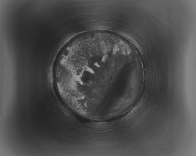 X0000100351031200806271357