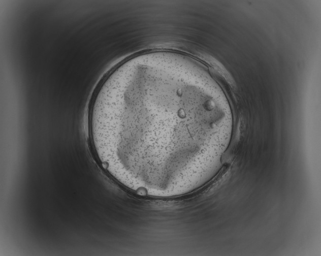 X0000100351036200806271357