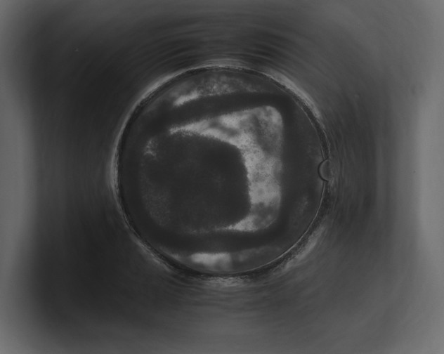 X0000100351037200806271357