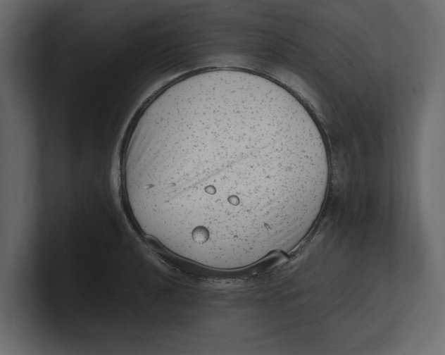 X0000100351040200806271357