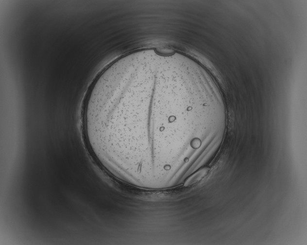 X0000100351042200806271358