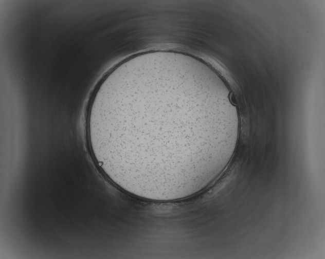 X0000100351046200806271358