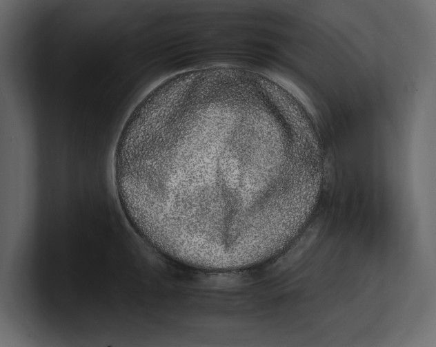 X0000100351047200806271358