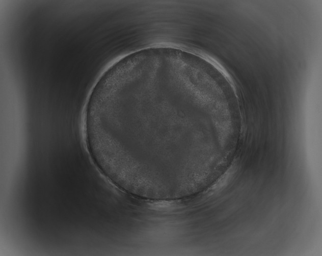 X0000100351048200806271358