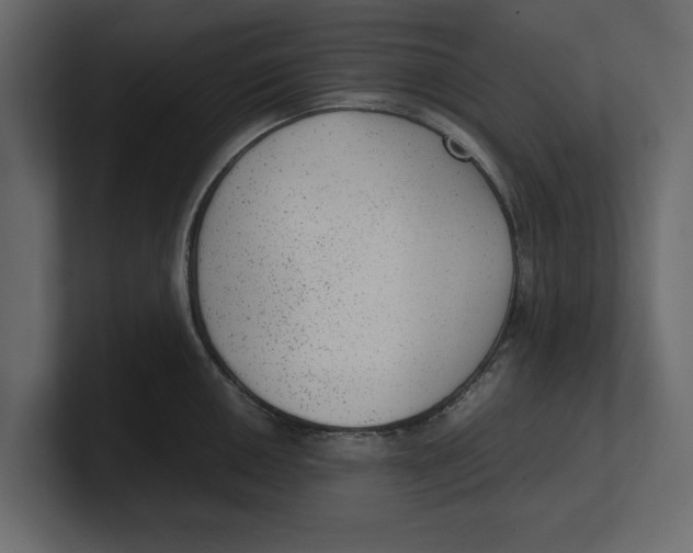 X0000100351050200806271358