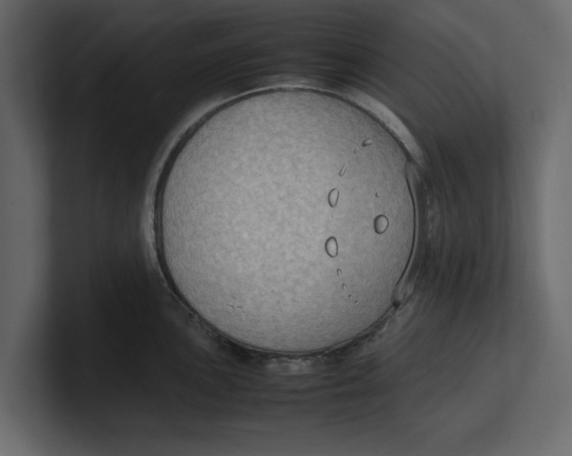 X0000100351051200806271358