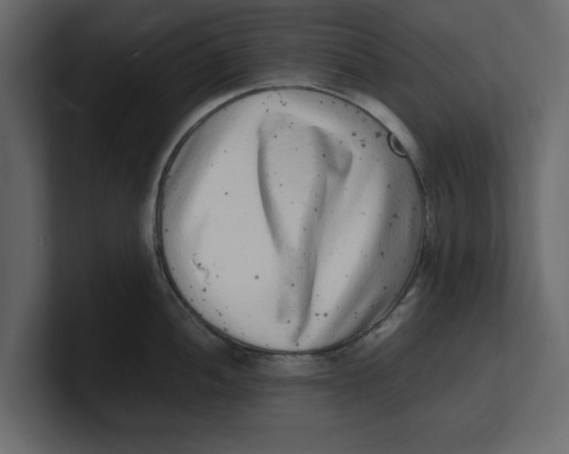 X0000100351052200806271358