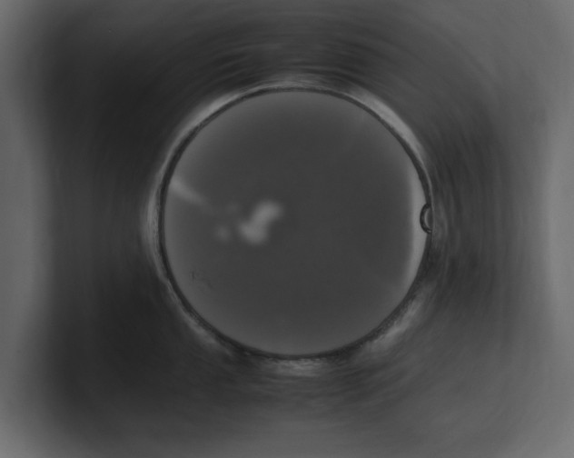 X0000100351053200806271358