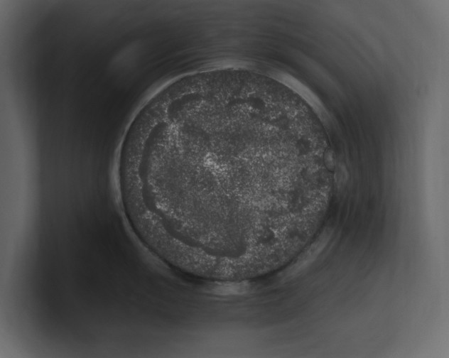 X0000100351055200806271358