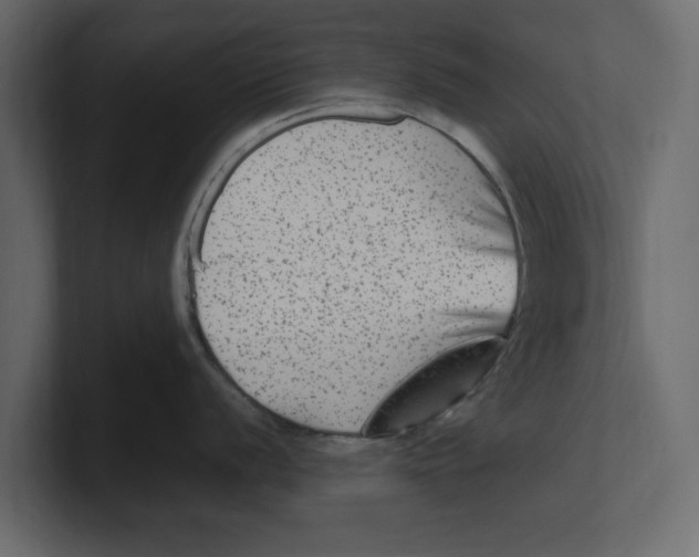 X0000100351056200806271358