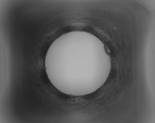 X0000100351061200806271357