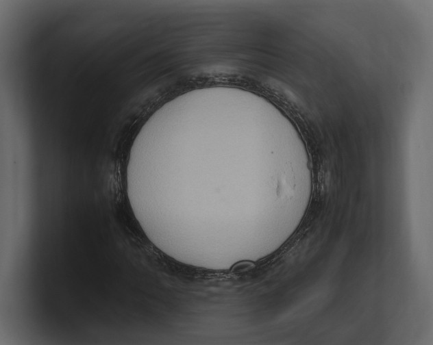 X0000100351062200806271357