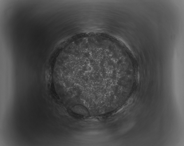 X0000100351063200806271357