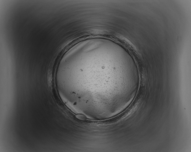 X0000100351065200806271357