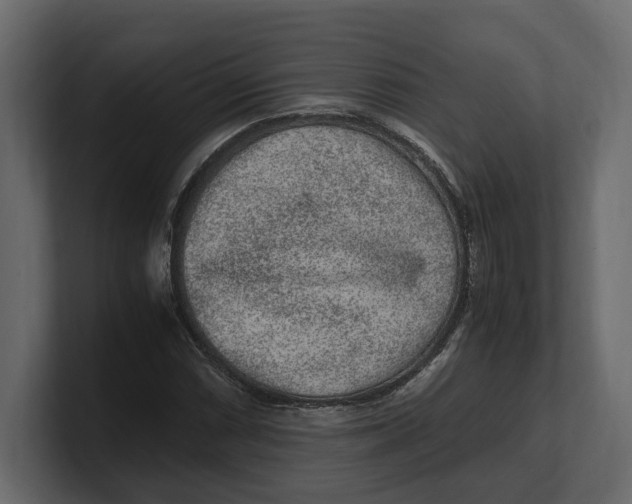 X0000100351066200806271357