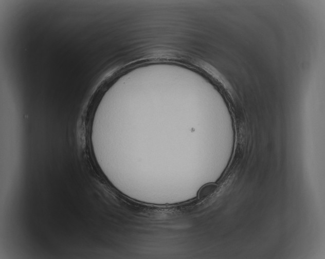 X0000100351067200806271357