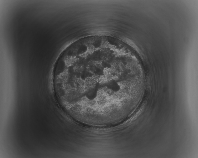 X0000100351071200806271357