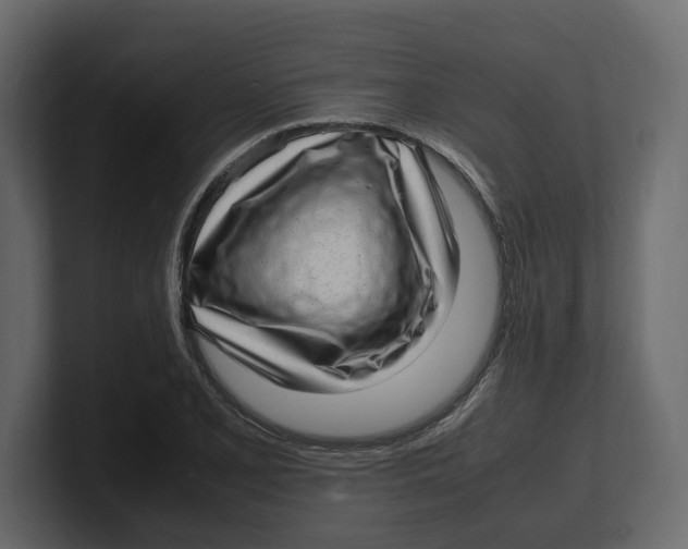 X0000100351077200806271357