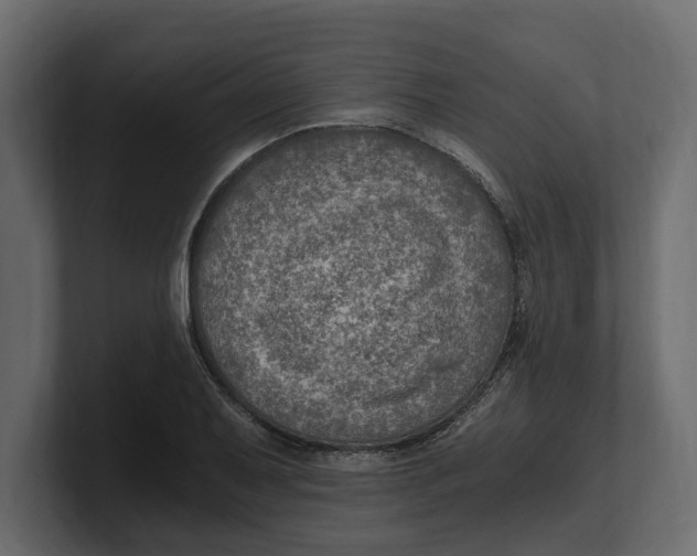 X0000100351079200806271357