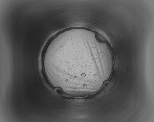 X0000100351080200806271357