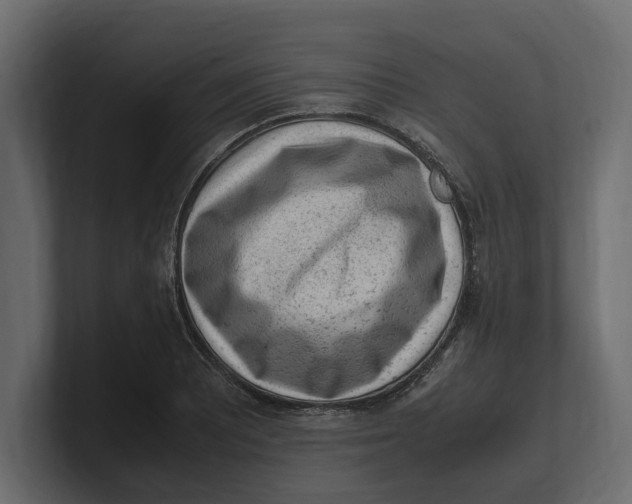 X0000100351081200806271357