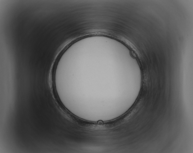 X0000100351082200806271357