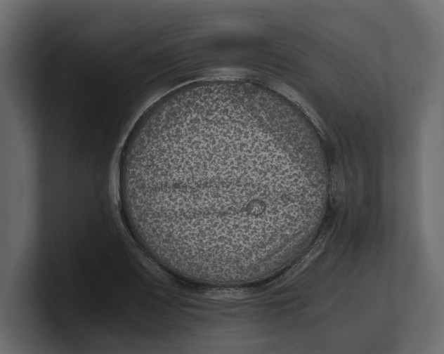 X0000100351083200806271357