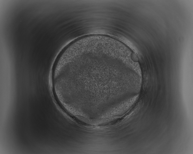 X0000100351084200806271357