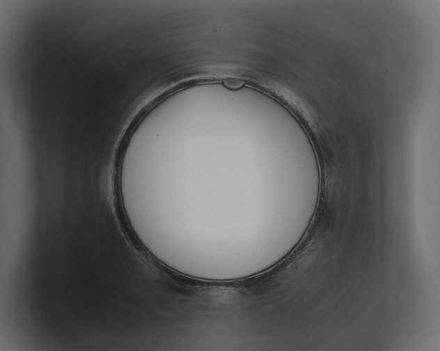 X0000100351085200806271357