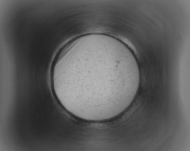 X0000100351088200806271357