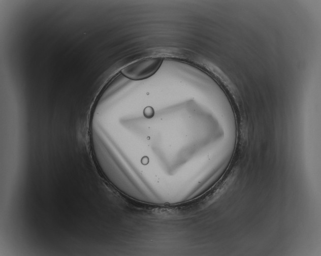 X0000100351089200806271357