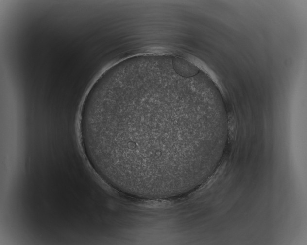 X0000100351091200806271357