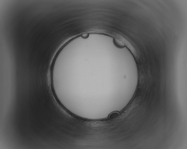 X0000100351092200806271357