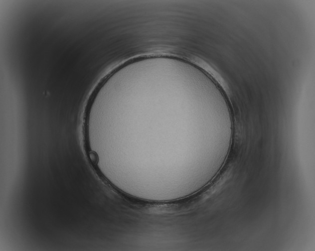 X0000100351093200806271357