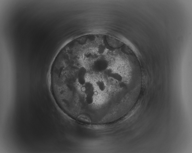 X0000100351095200806271357